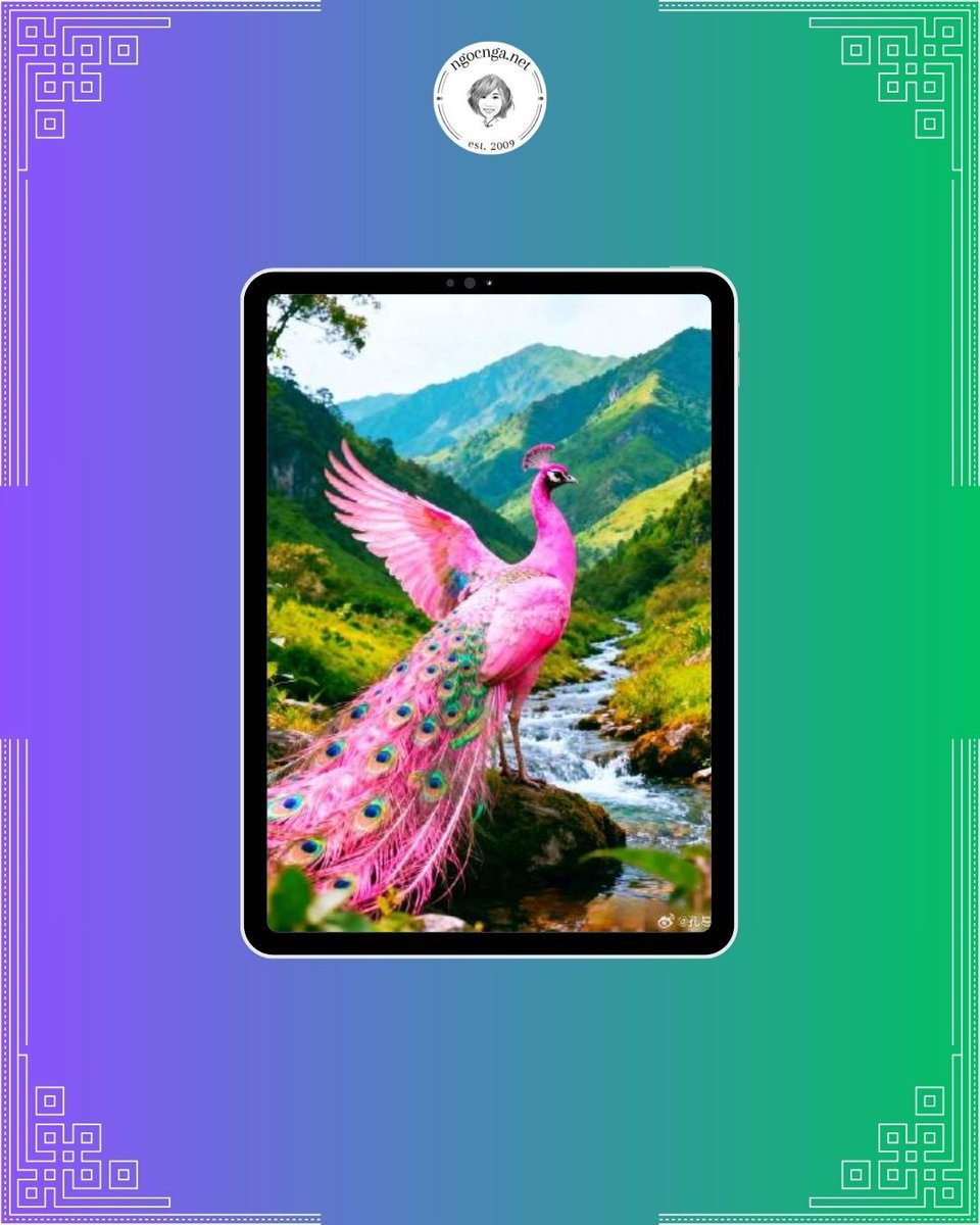 ngocngadotnet's tweet image. 🐦🔥✨ The #phoenix brings #joyful #news, and you will receive the best news coming your way.
---
🔮 Discover your #destiny with a personalized #ziweidoushu reading today!
#PurpleStarAstrology #ChineseAstrology #Astrology #Metaphysics #ChineseMetaphysics
ngocnga.net/zi-wei-dou-shu…
