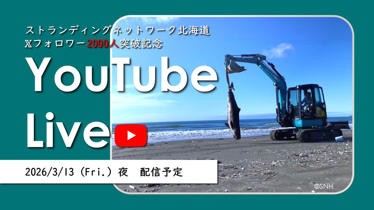 【‼YouTube Liveします（予定）‼】
いつもSNHの活動を見守ってくださりありがとうございます✨この度，Xフォロワーが2000人を突破しました㊗
これを記念して（かこつけて），SNH初の試み
「「「YouTube Live」」」
に挑戦します‼
「「「皆さまからの質問に片っ端から答えよう企画」」」
です（1/3）