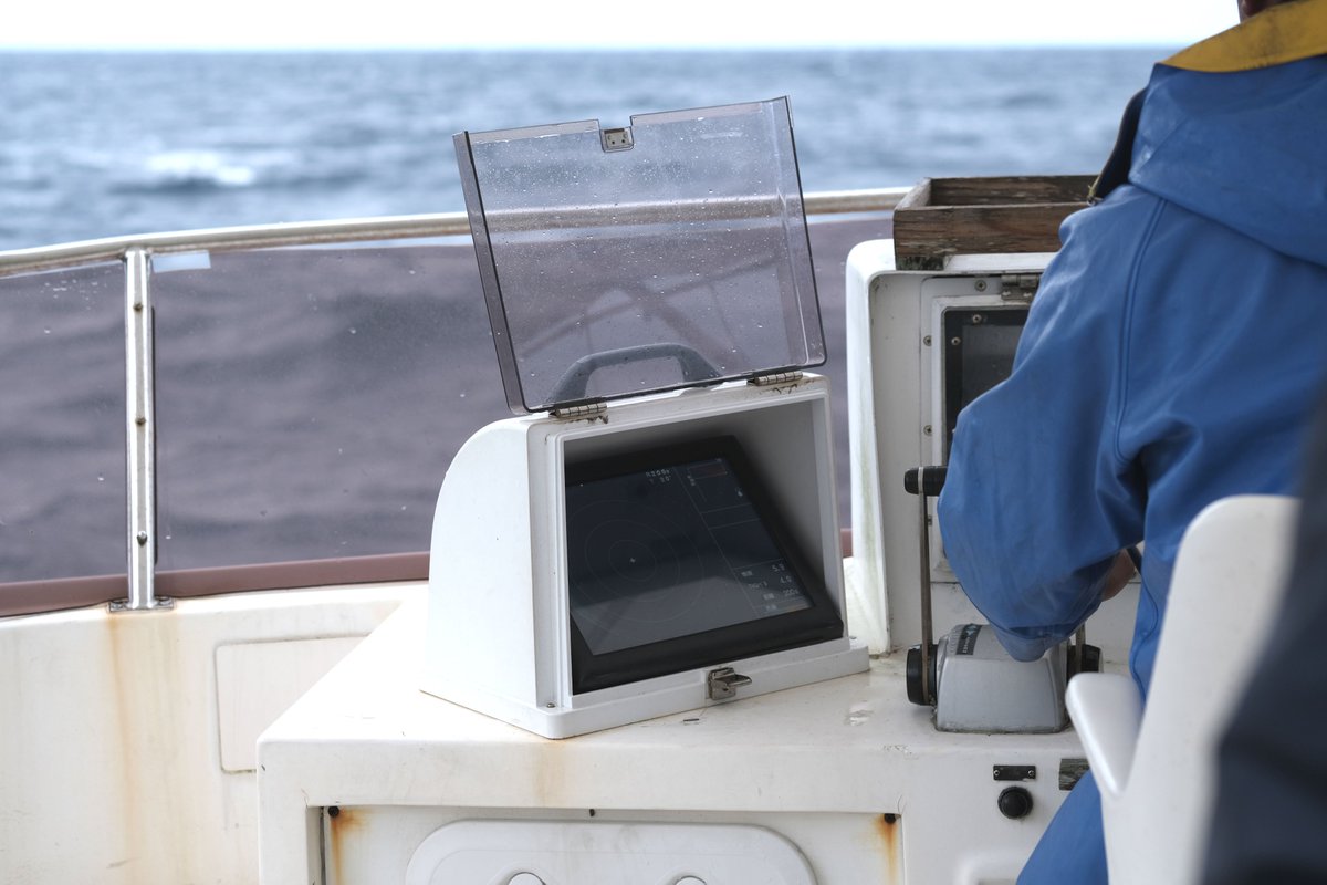 Humpback whale in Amami / 奄美のザトウクジラ February 7, 2026 with