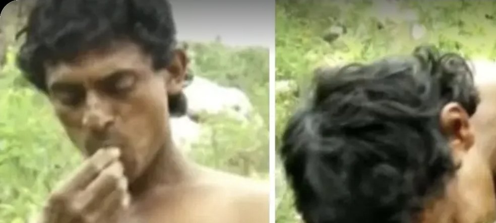 एक शख्स ने 10 साल तक पत्तियां खाकर जिंदा रहने का किया दावा।

एक शख्स ने पत्तियां खाकर केवल जीने का दावा किया है जो कहता है ये मैने बंदरों से सिखा है।

आम जीवन में ये संभव नहीं है कि केवल पत्तियां खाकर कोई जीवित रहे।

दिन में 6 बार पत्तियों का सेवन करता है।