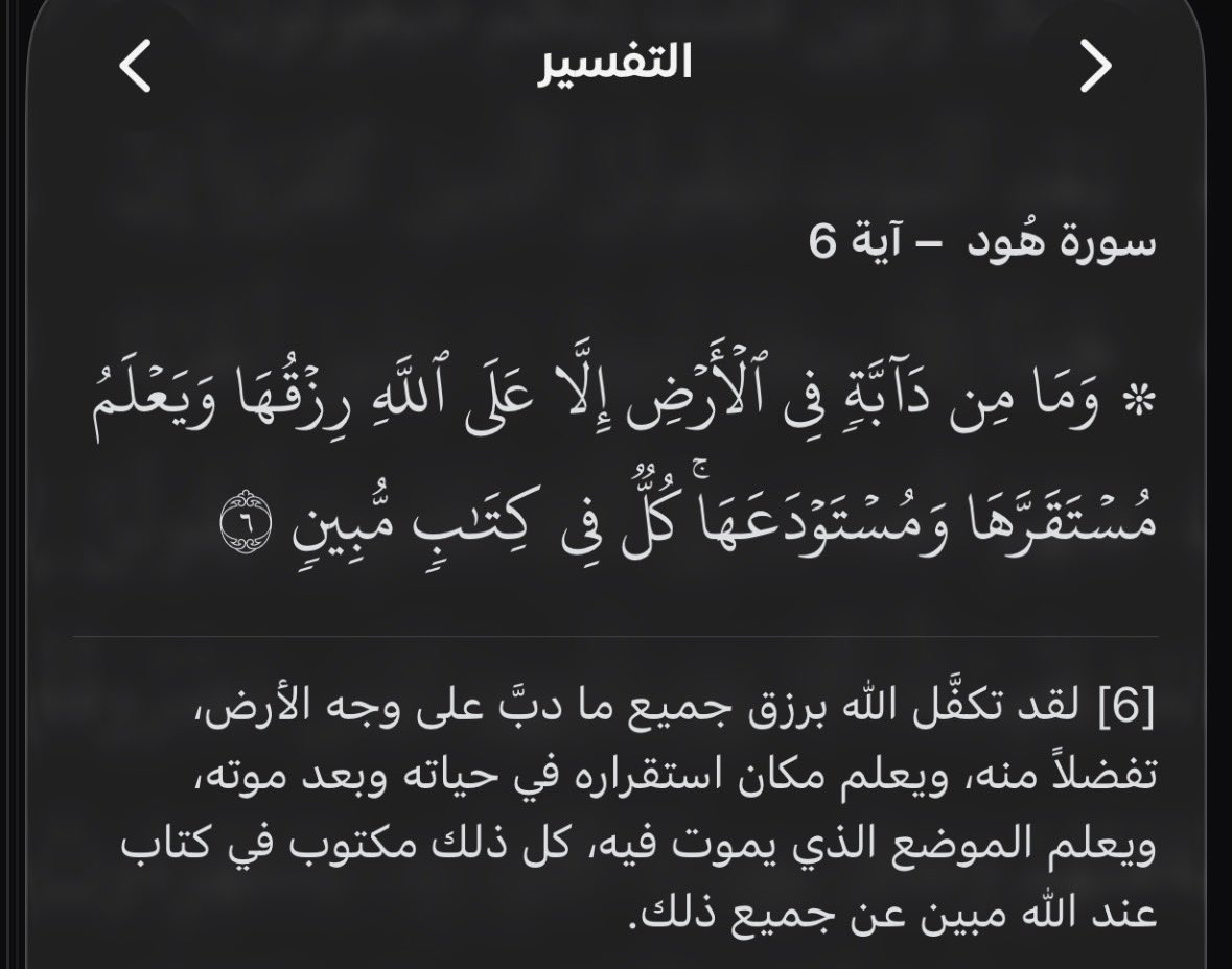 حـصـة (@hessahmalsu) on Twitter photo 