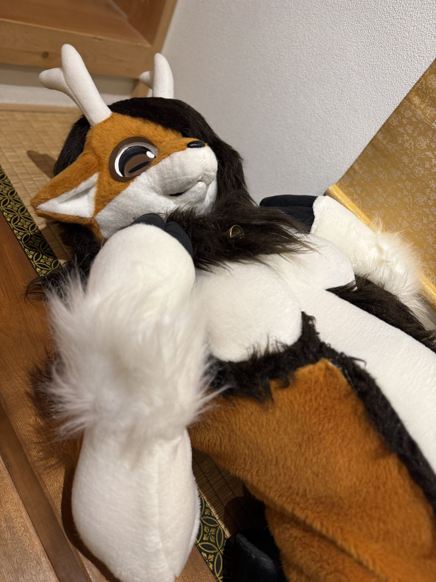 ケツとハラとチチと…