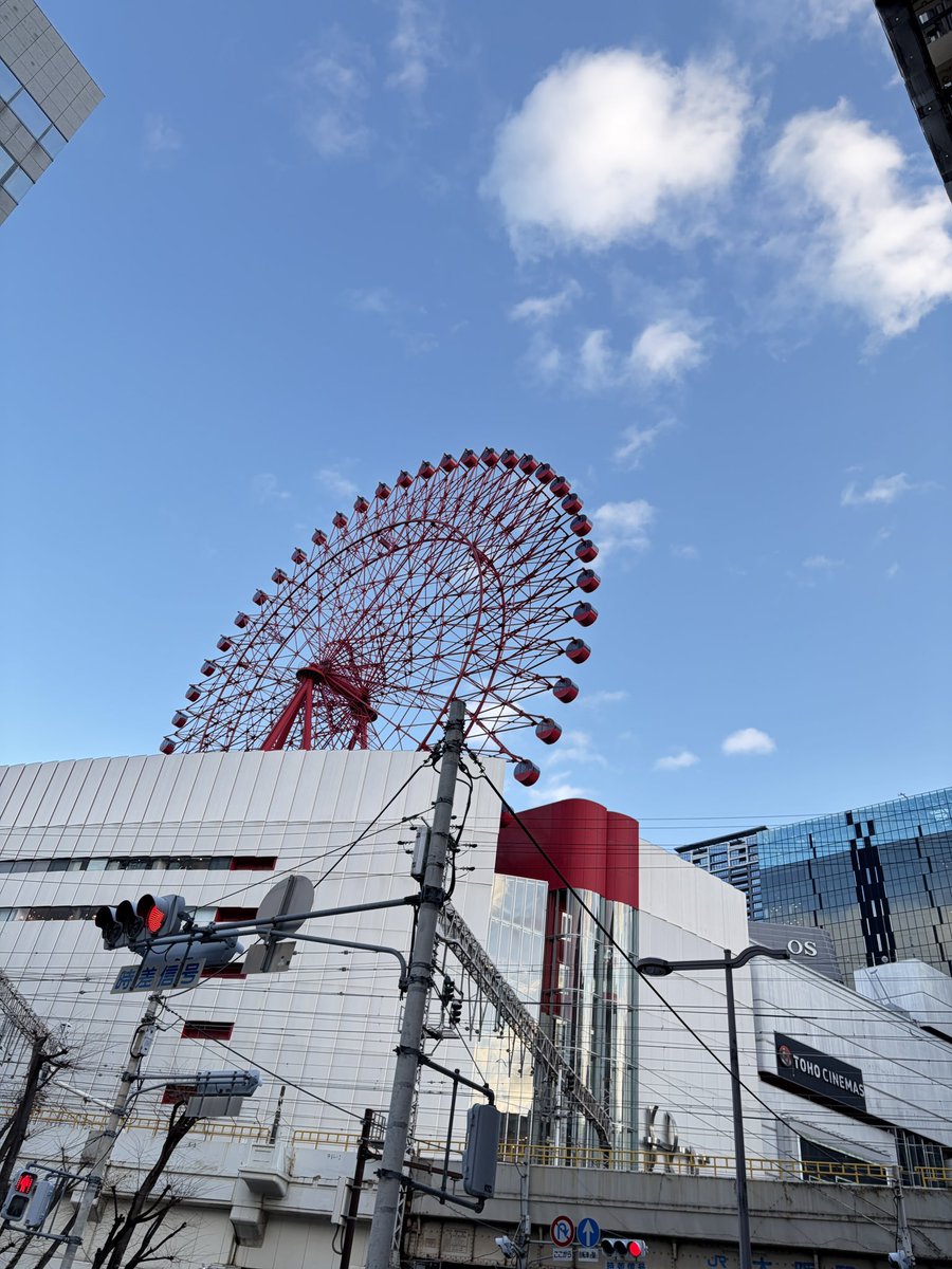 롱...☘️ tweet media