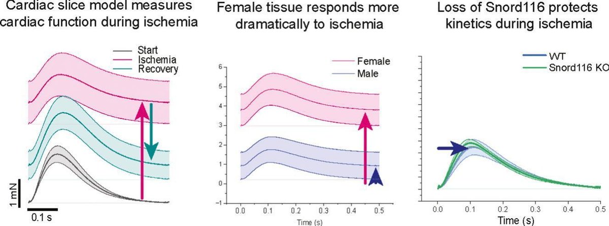 IonOptix tweet media