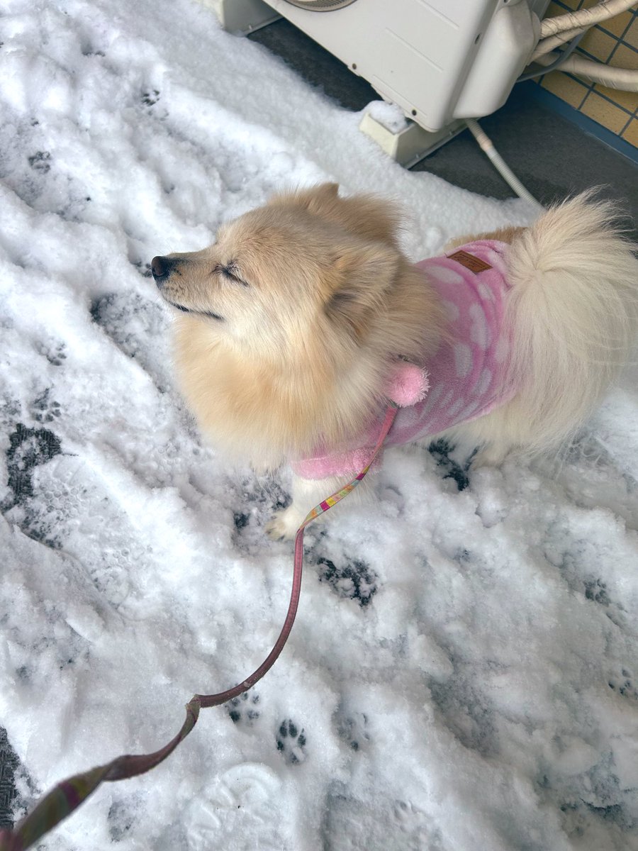 qcp30's tweet photo. 雪はどうですか？🤭 https://t.co/fgmj72jxzV