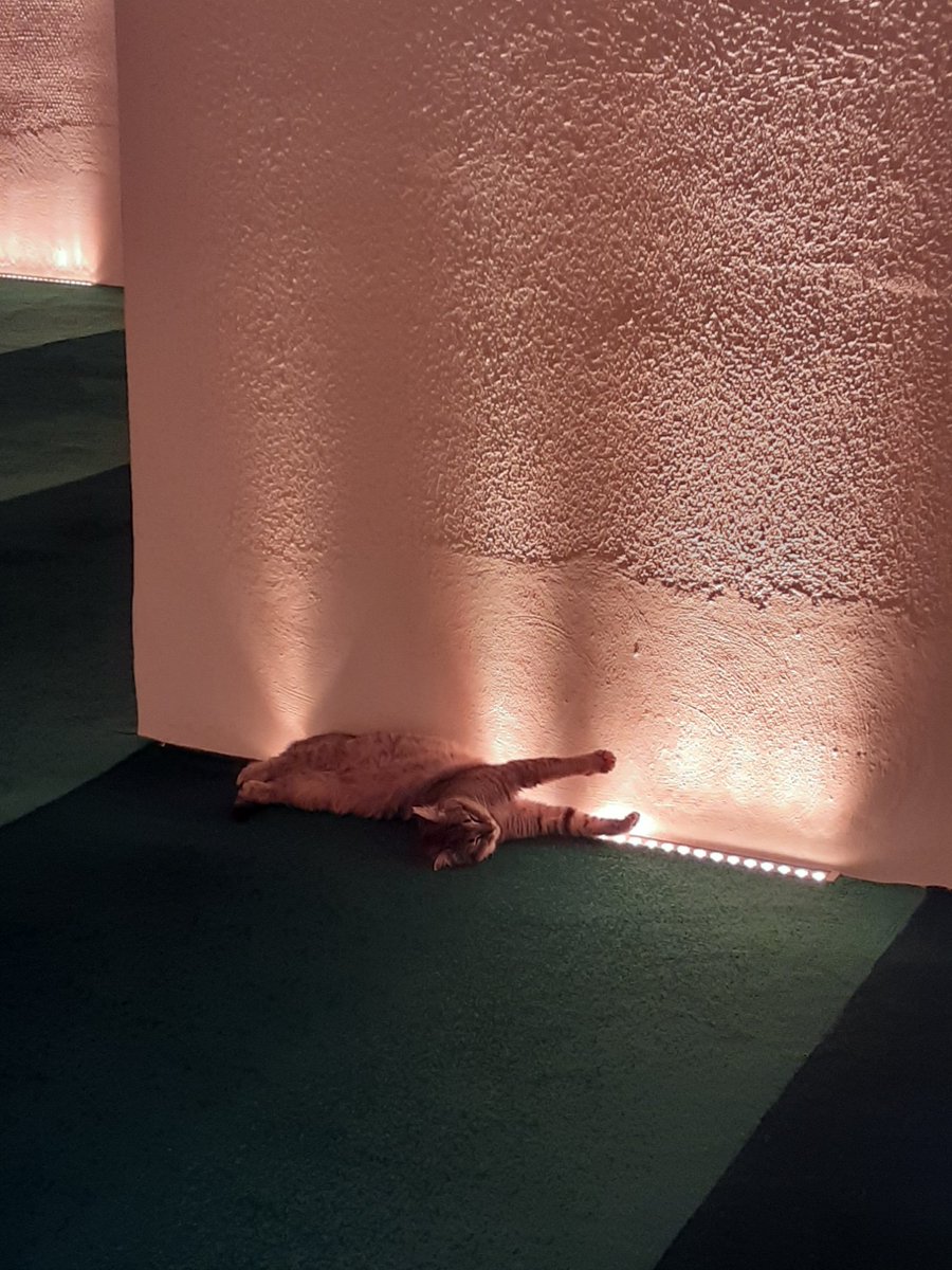 Rüyasında ne görüyor acaba.