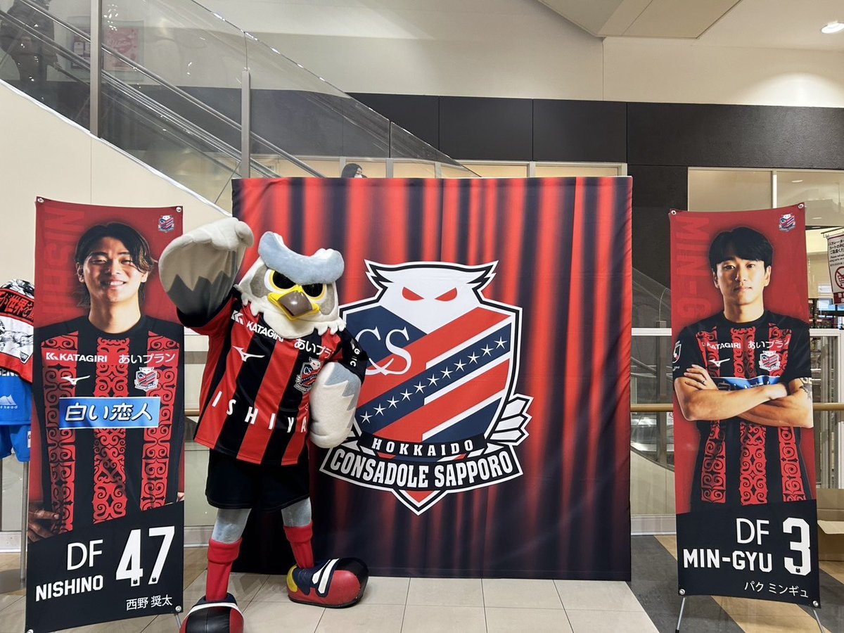 ドーレくん☆ tweet media