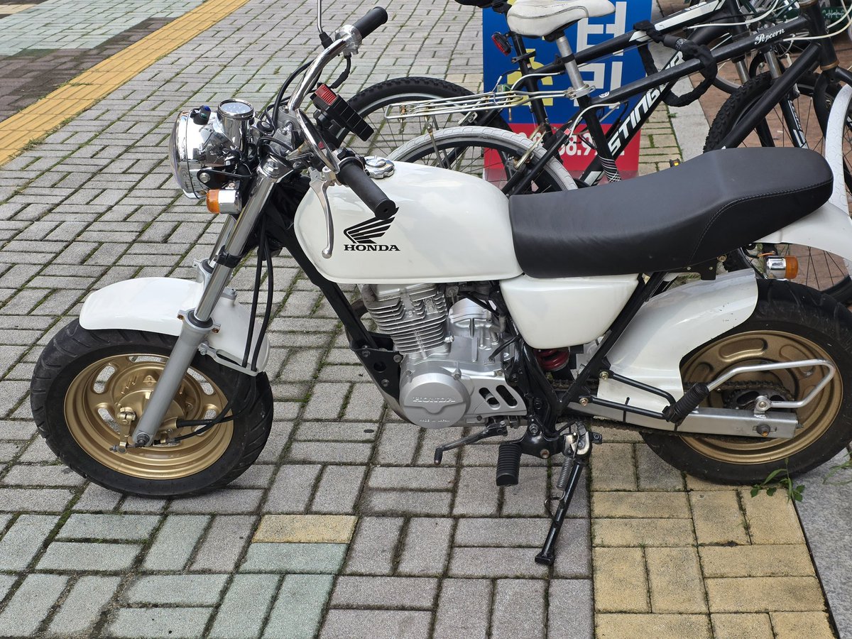 시청앞 사진관 tweet media