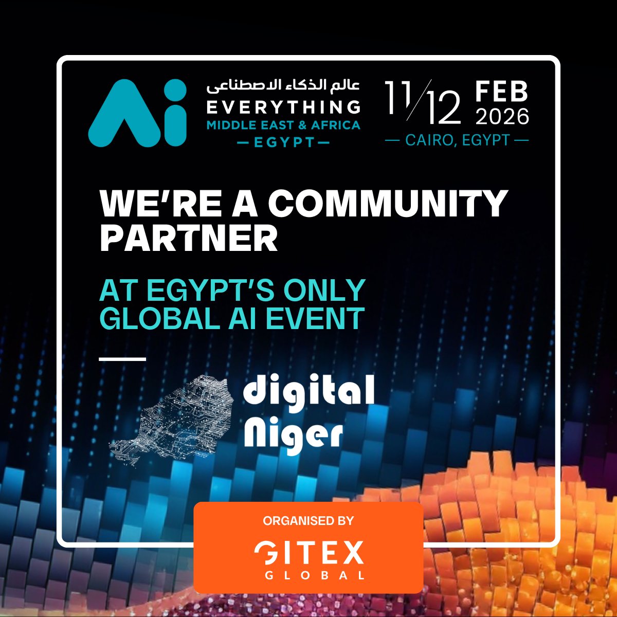 Digital Niger tweet media