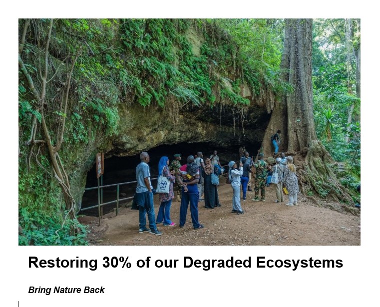RCMRD 🇰🇪 🇺🇬 🇸🇴 🇹🇿 🇲🇼 🇰🇲 🇿🇲 🇱🇸 🇸🇿 tweet media