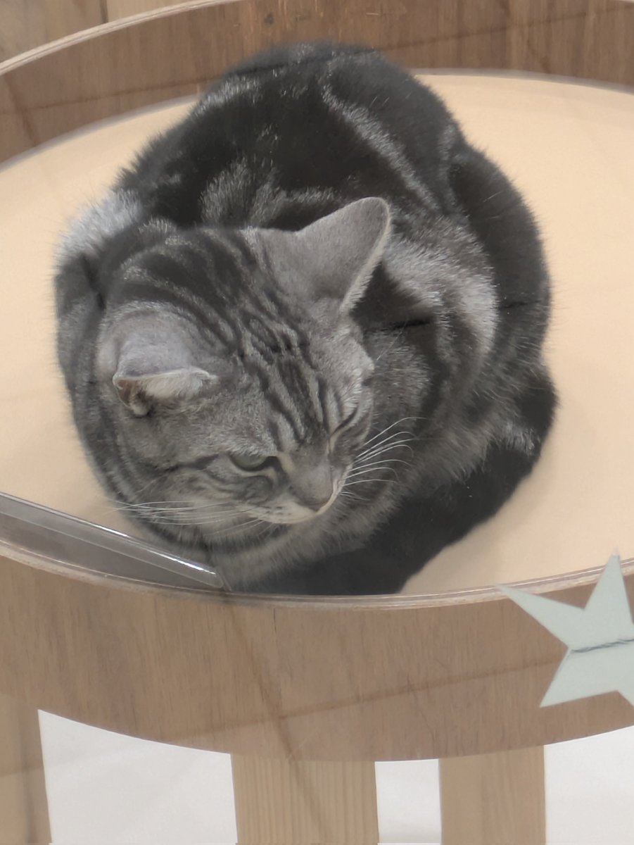 これを見た人は去年の2月の画像を貼る