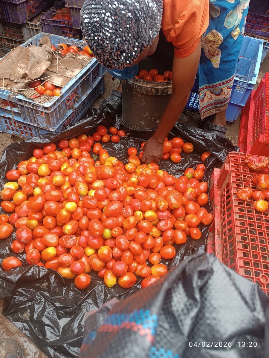 endipofficial's tweet photo. Success story!🚀 
A quick dive into the wonderful achievement of one of our YSECP beneficiaries. 
His business name is Ipala, Ipala  App.

Ipala's 2nd batch of Cooperatives food combo sharing across 8 Port Harcourt residents is a hit. https://t.co/iCnNUTGJZv