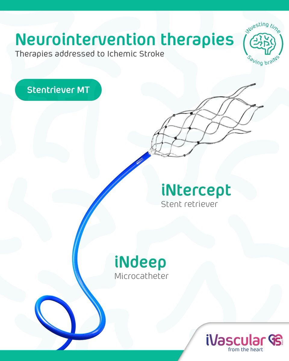 iVascularNeuro's tweet photo. At #iVascularNeuro, we provide a complete neurointerventional device portfolio to support all thrombectomy techniques in ischemic stroke treatment:
🟢 Stent Retriever MT
#iNtercept Stent Retriever + #iNdeep Microcatheter
🟢 Aspiration Technique
#iNstroke 6F & 4F Aspiration Catheters + #iNdeep Microcatheter
🟢 Combined Technique
#iNedit Balloon Distal Access Catheter + #iNtercept Stent Retriever + #iNdeep Microcatheter
Three techniques. One integrated portfolio.
