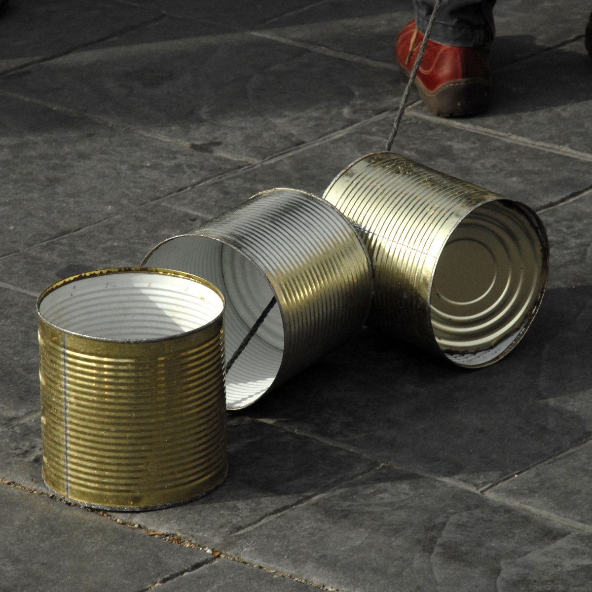 Salvador Palomar tweet media