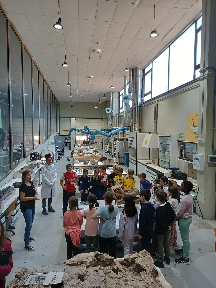 Dinópolis Teruel tweet media