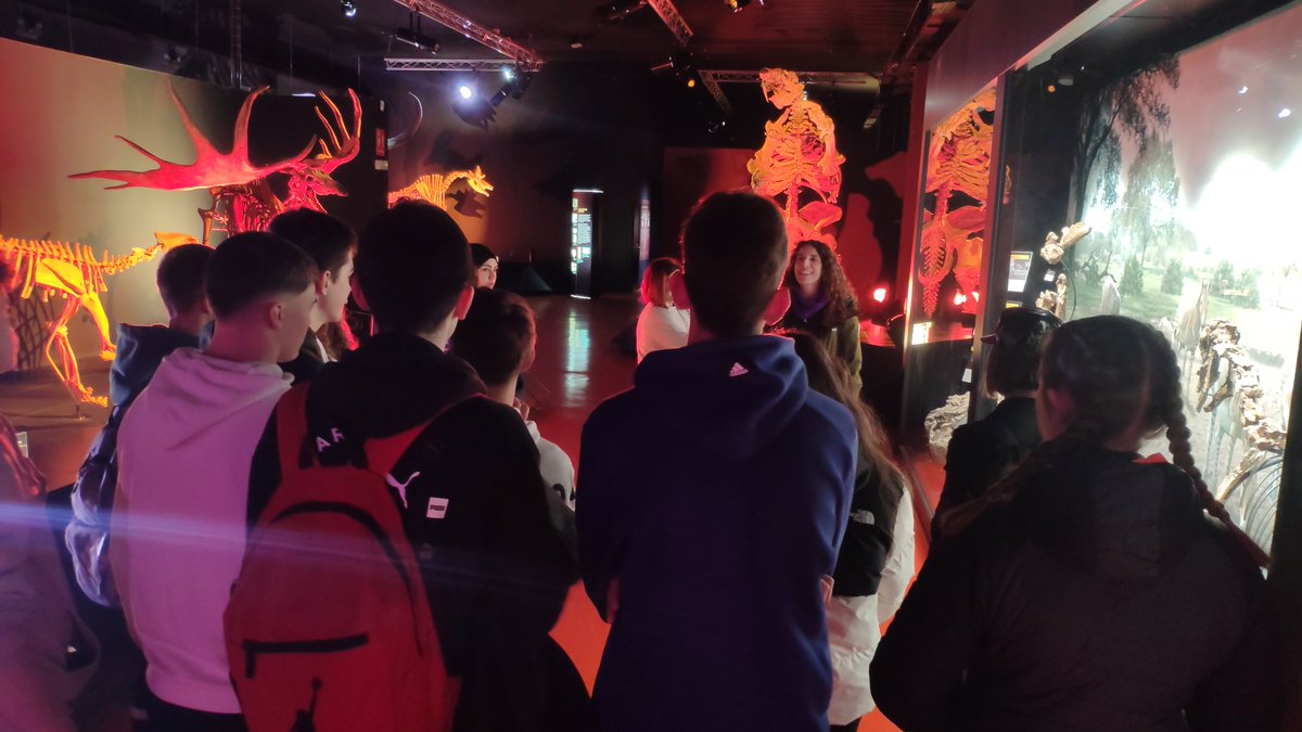 Dinópolis Teruel tweet media