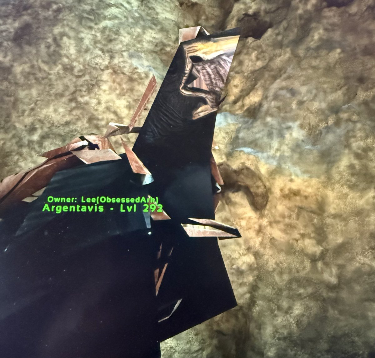 ObsessedArk tweet media