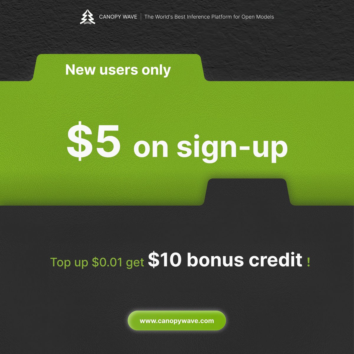 Canopy Wave tweet media