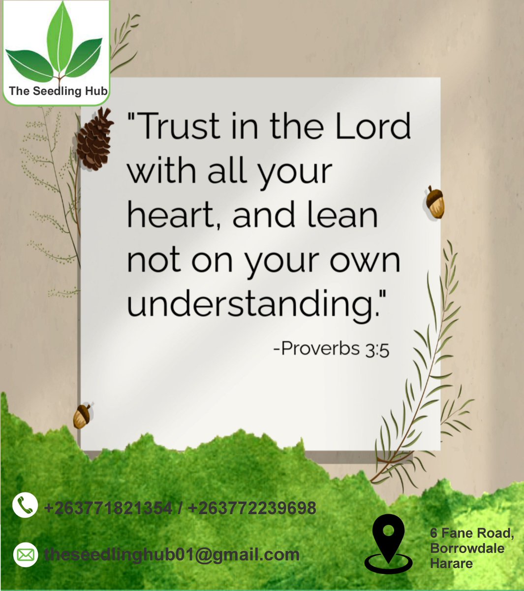 The Seedling Hub tweet media