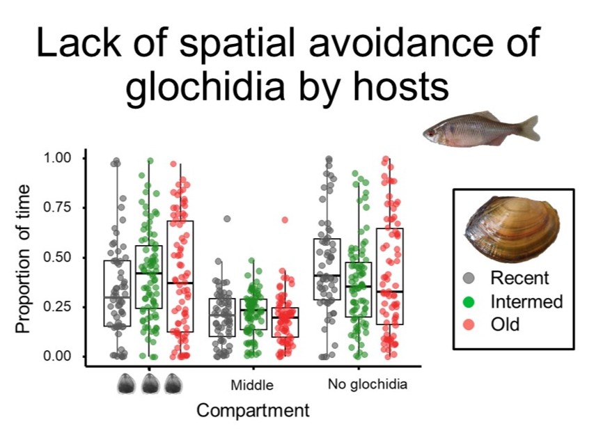 Institute of Vertebrate Biology tweet media