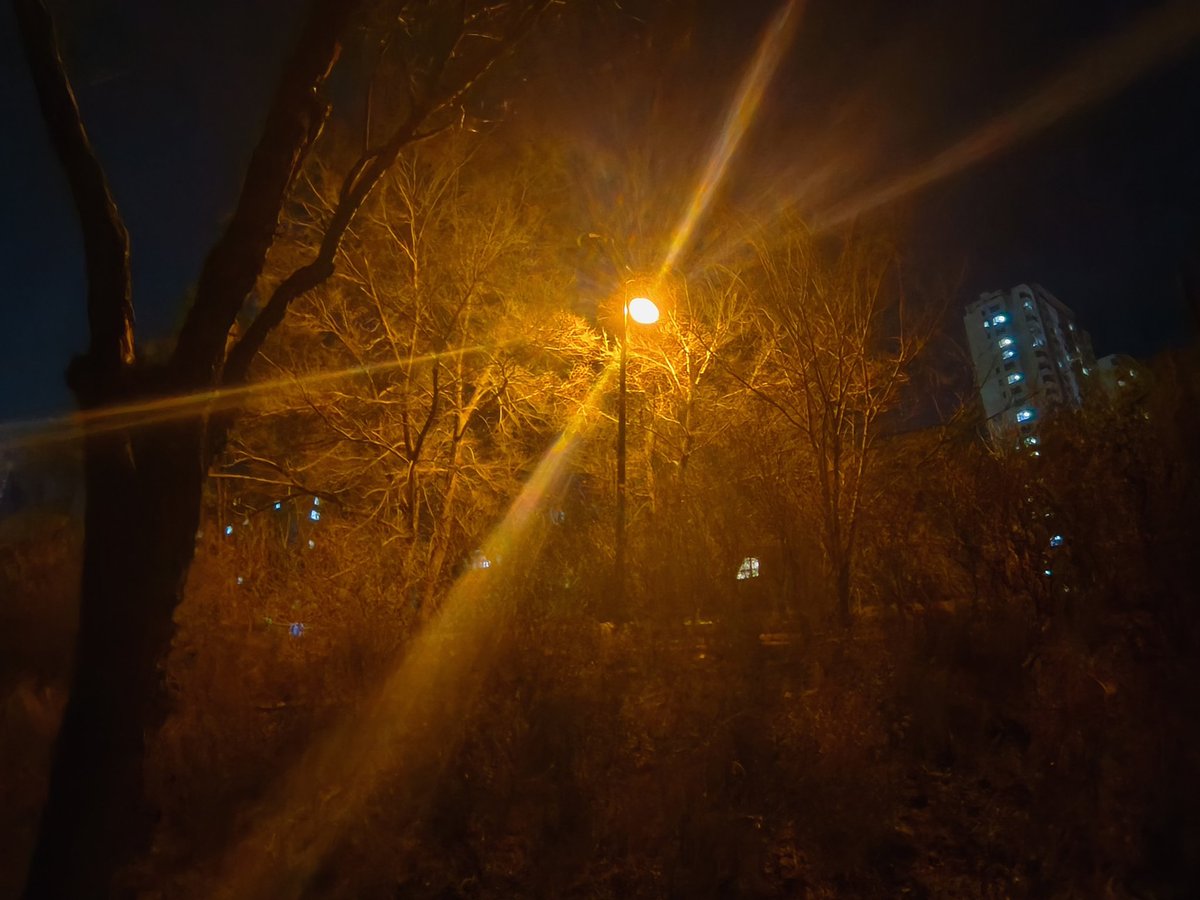 —coldmoon— tweet media