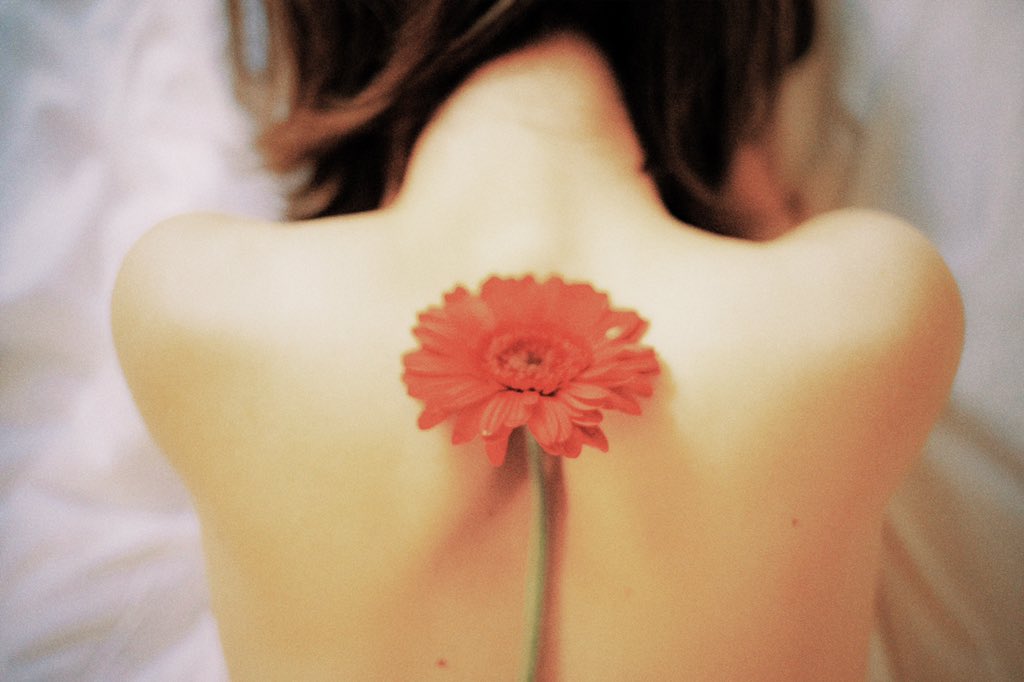 _hanahada_'s tweet photo. #Flower https://t.co/9pPoX9IIjM