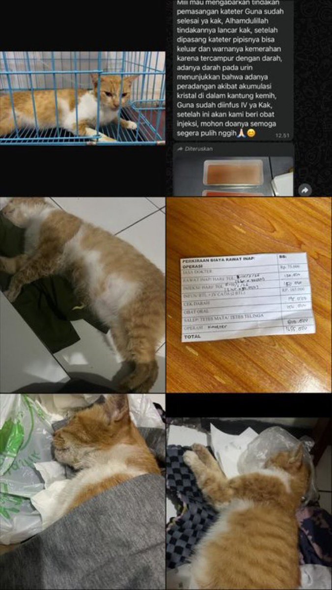 NO DM - KIRIM FESS CEK HIGHLIGHTS tweet media