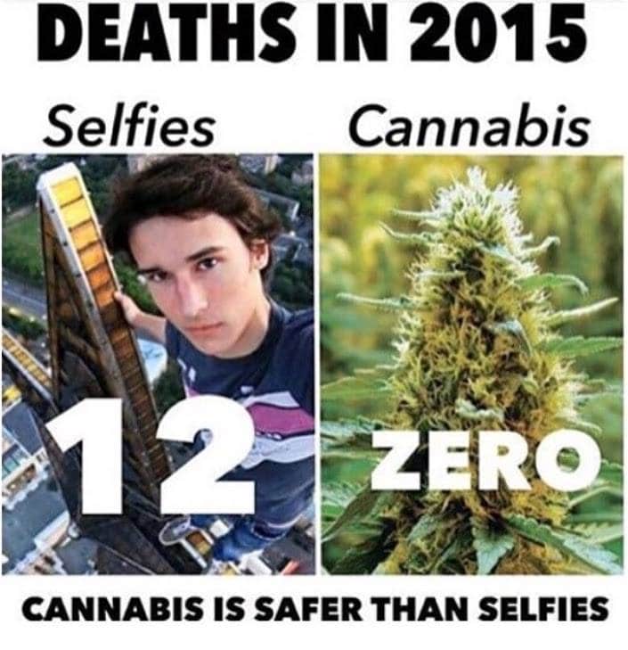 Even taking selfies is more dangerous than marijuana! 😆