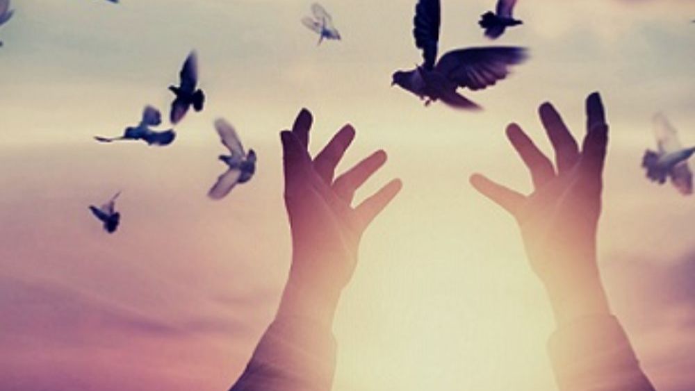 pepmk1's tweet photo. https://t.co/nn39o47EyR
Managing Bereavement in Schools - This 3-hour training course on the 16th March explores bereavement in detail and provides a strong foundation for those managing bereavement in a school setting. Places still available. https://t.co/pbReDX3rLB