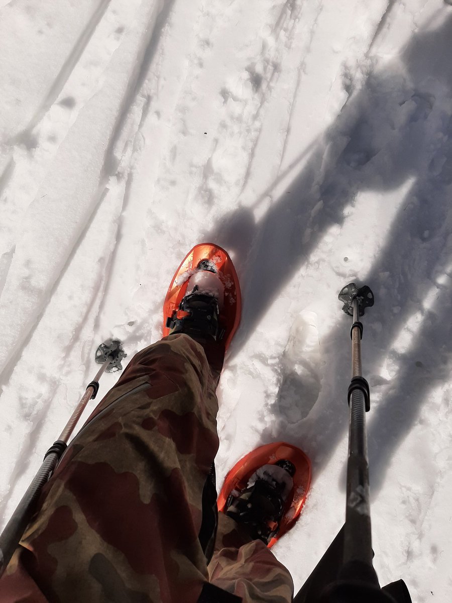 Stedilnik tweet media