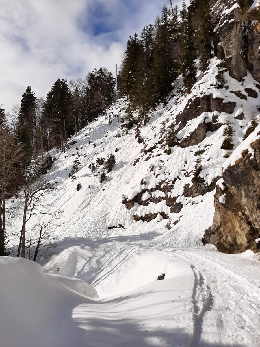 Stedilnik tweet media