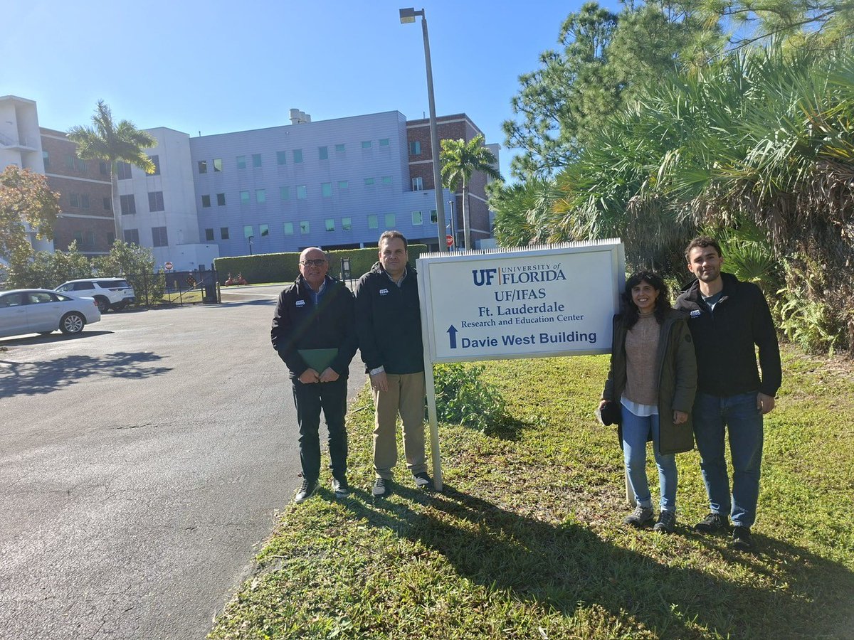 SemillasFitoTG's tweet photo. Last week Semillas Fitó Turfgrass attended the Golf Industry Show in Orlando and visited University of Florida NTEP trials with Marco Schiavone and team. @Tahoma31Bermuda, Endarra 81 Hybrid Bermuda and Florida seeded bermuda are showing excellent performance. #fitoturfgrass https://t.co/yUuyXqz163