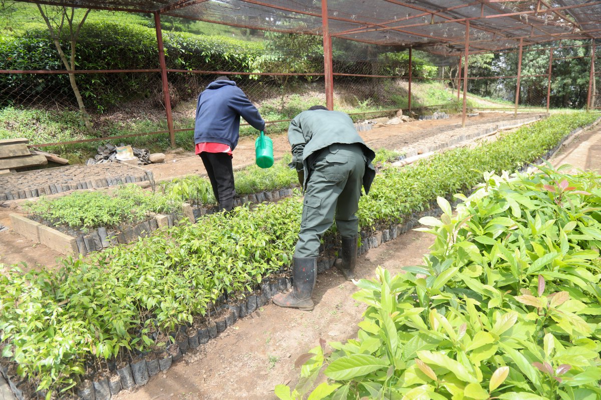 SOS Children's Villages Rwanda tweet media