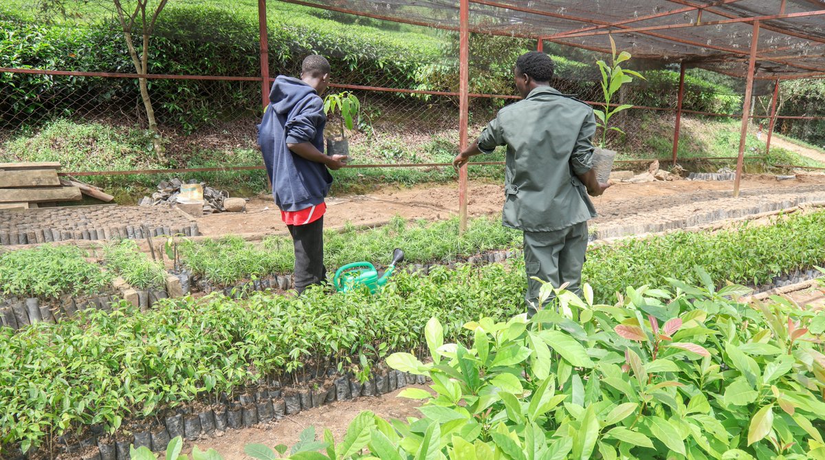 SOS Children's Villages Rwanda tweet media