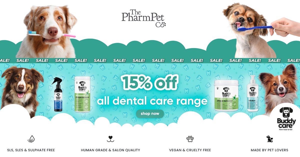 pharmpetco's tweet photo. 15% off Buddycare Dental Care. Limited time only 🦷

Fresh breath is just the beginning.

⏰ Limited time only. Shop the Buddycare dental care range today and keep those smiles healthy: https://t.co/epLDj1nwvz

#BuddyCare #PetOwnersUK #PetDeals #DogCare https://t.co/d2e16pG4PY