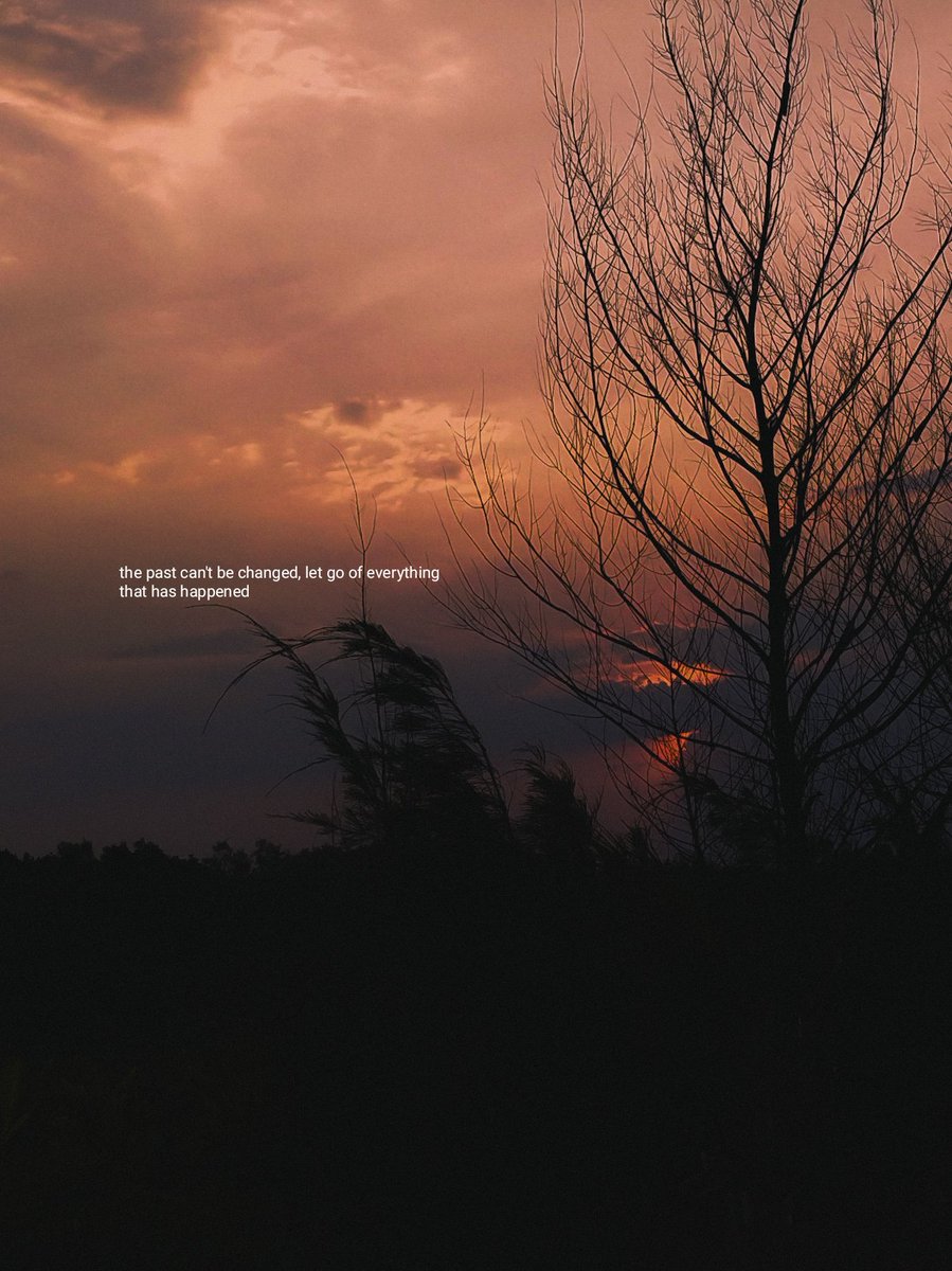 ty 🌿 (@elenielframes) on Twitter photo 