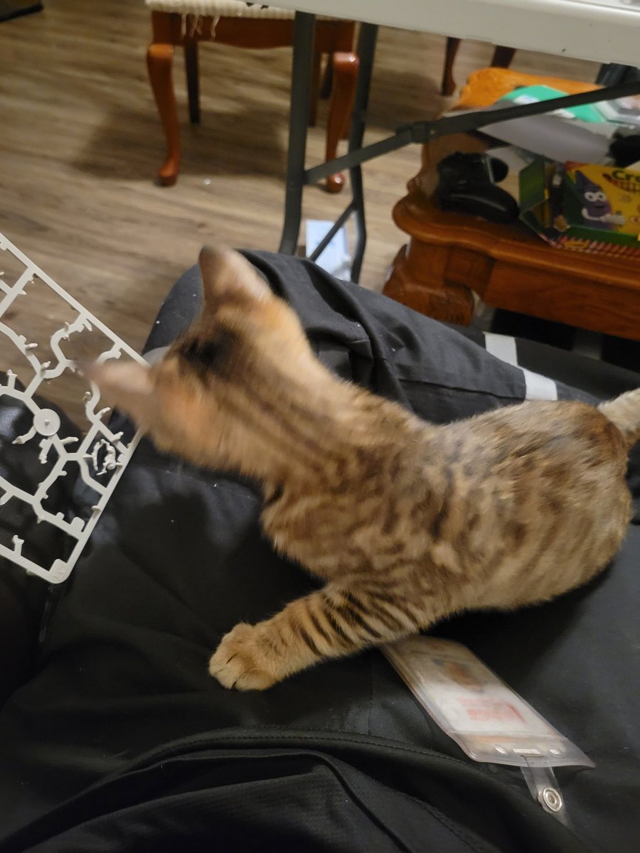 Joined by a furry baby while I build my miniatures