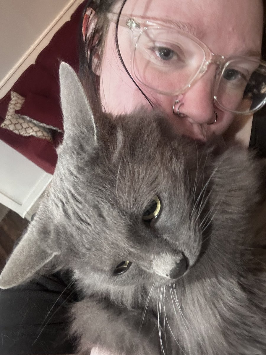 found a cat at the super bowl party btw