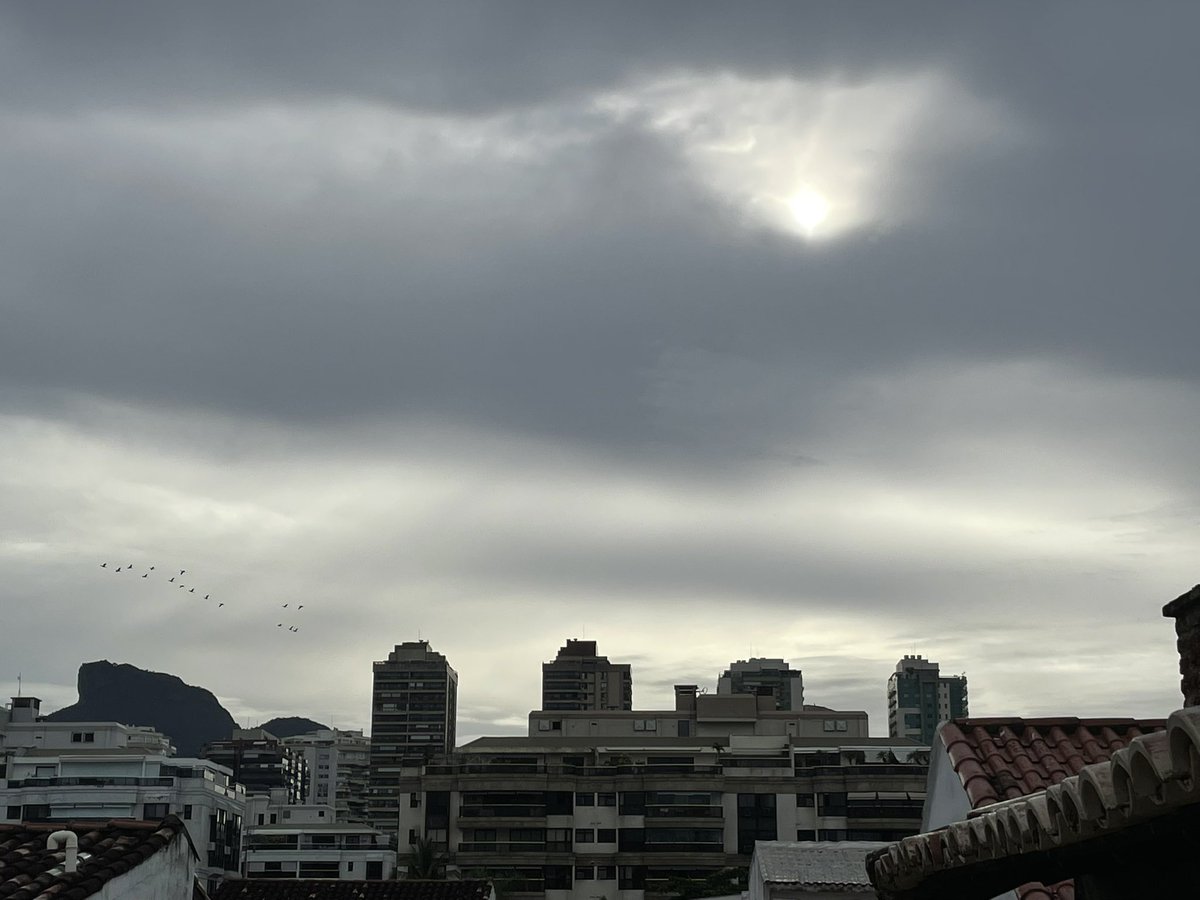 Reipell's tweet image. Bom dia, Esquerda!