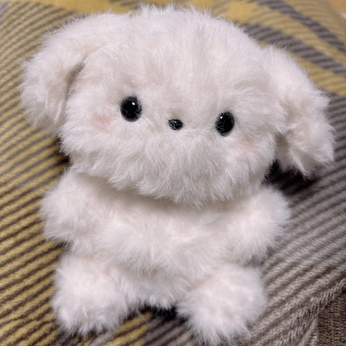 ｼﾞｬﾝｸﾏｰﾄ🦦2/3〜冬のポンちゃんまつり✨ (@JUNKMARTxxxMIYA) / Posts / X