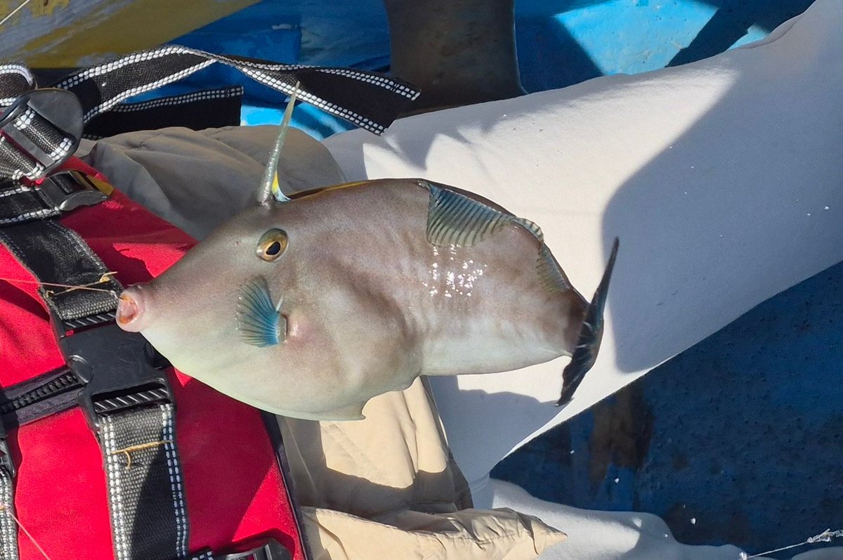 연(분) tweet media