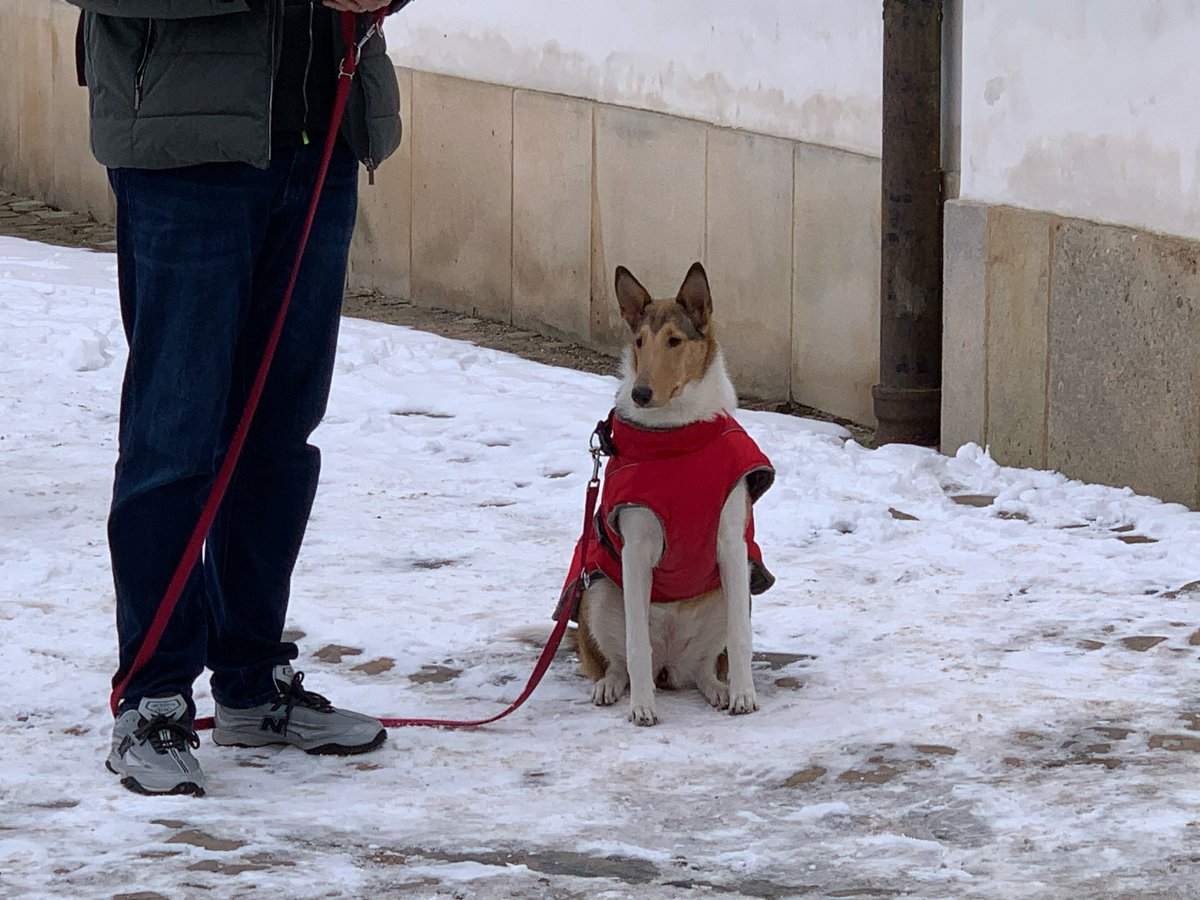 juju(박사님) tweet media