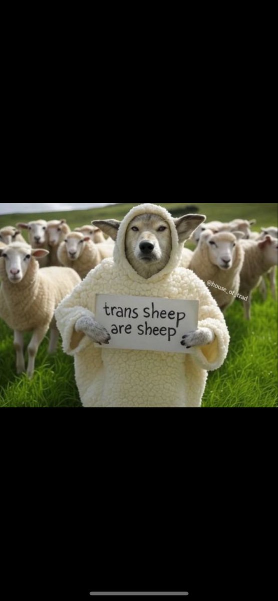 DevilsAdvocate32 tweet media