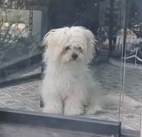 bugün ilk kez tek başıma hastaneye gittim