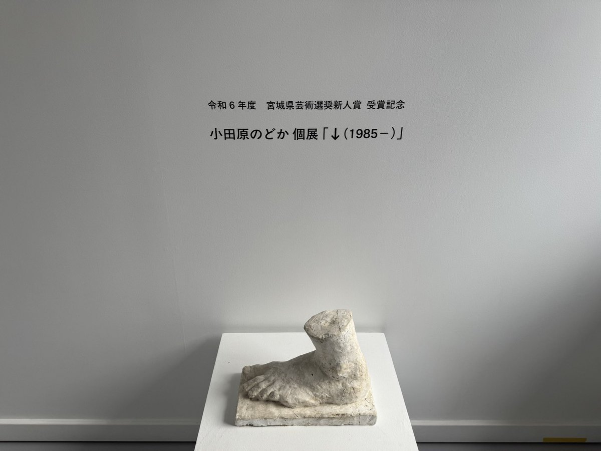 小田原のどか tweet media