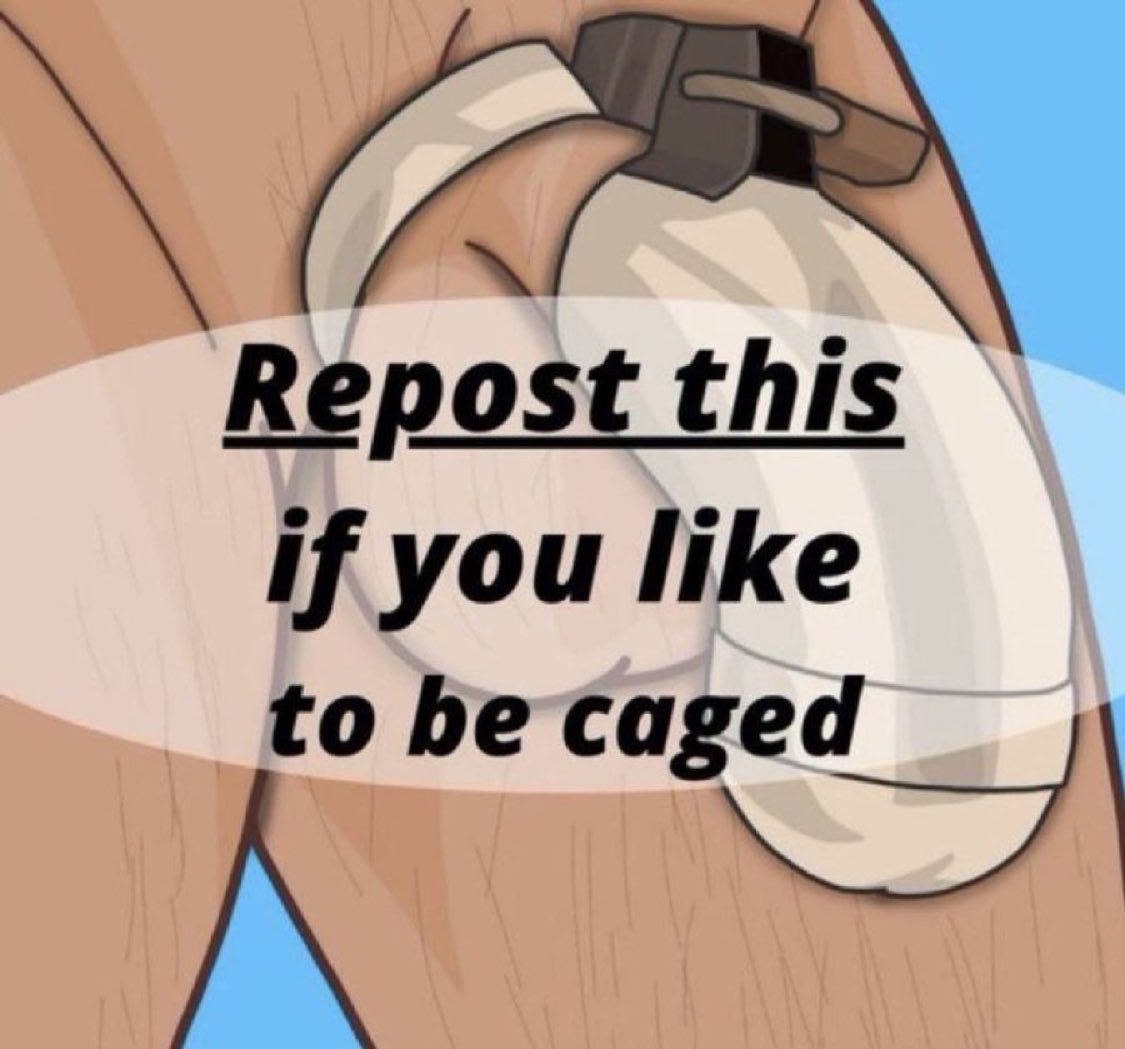 ALPHA BULL tweet media