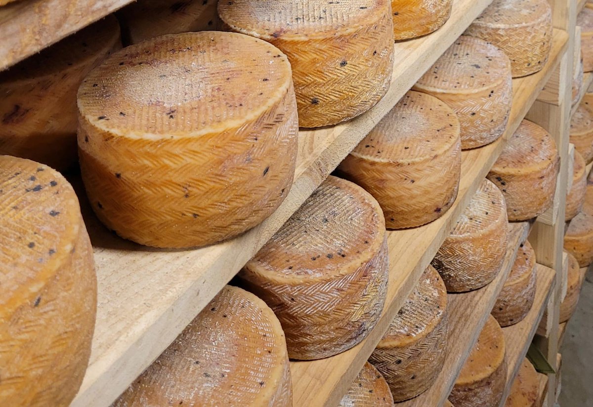 IfapaJunta's tweet photo. La @AndaluciaJunta abre las inscripciones del curso #Maestro #Quesero 4.0 para elaboración de #quesos y creación de empresas lácteas 🧀

Esta formación del #IFAPA busca mejorar la rentabilidad del sector e impulsar la fijación de población al territorio

🌐https://t.co/EeCn9U6Uo6 https://t.co/misvR01PCz