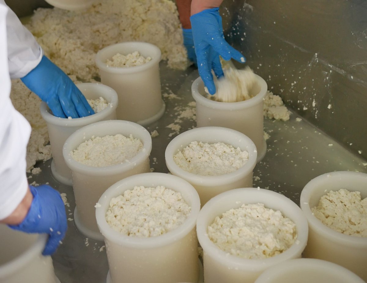 IfapaJunta's tweet photo. La @AndaluciaJunta abre las inscripciones del curso #Maestro #Quesero 4.0 para elaboración de #quesos y creación de empresas lácteas 🧀

Esta formación del #IFAPA busca mejorar la rentabilidad del sector e impulsar la fijación de población al territorio

🌐https://t.co/EeCn9U6Uo6 https://t.co/misvR01PCz