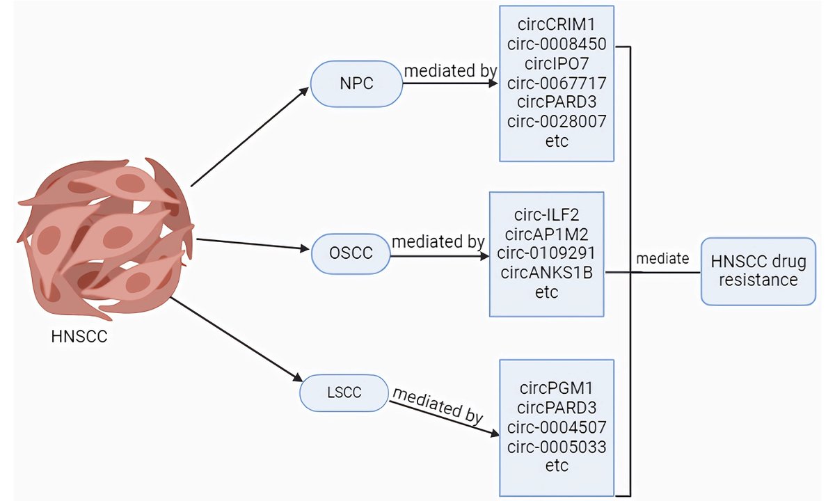 Cancer Drug Resistance tweet media