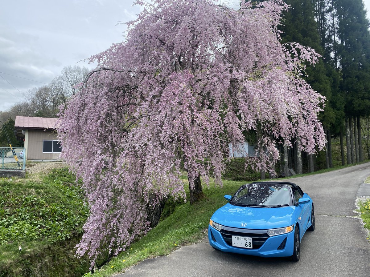 s660 ようやく駐車場に車ねじ込んで 家で落ち着いた.疲れたわ